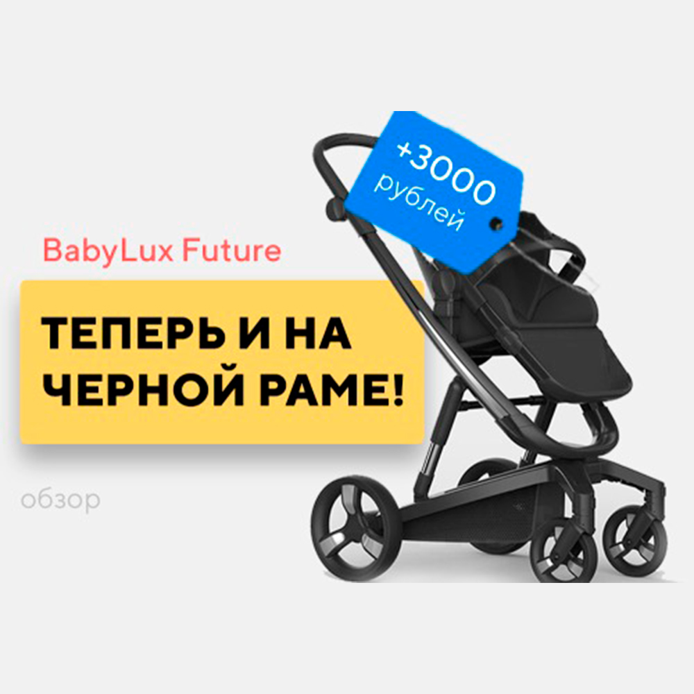 Новинка 2020! Коляска прогулочная BABYLUX FUTURE на черной раме