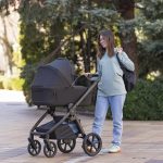 Carrello Omega+  Asteroid Beige (Коричневый) 2 в 1