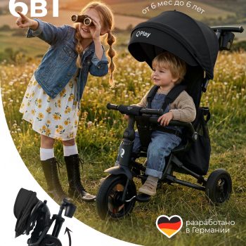 Велосипед 3-х колесный Qplay S701 RIDER MAX Black (Oxford/Matte Black)